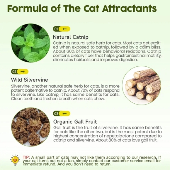 Cat Toys 😺 - Picture 7 of 12